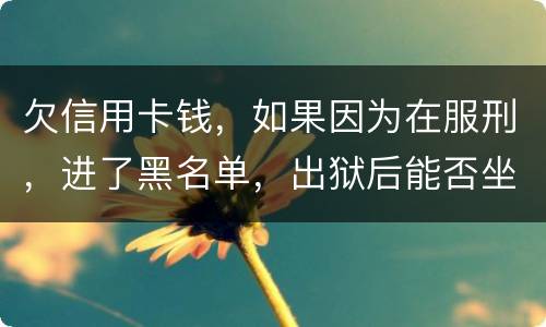 欠信用卡钱，如果因为在服刑，进了黑名单，出狱后能否坐高铁，飞机，火车这些交通工具