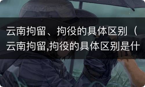 云南拘留、拘役的具体区别（云南拘留,拘役的具体区别是什么）