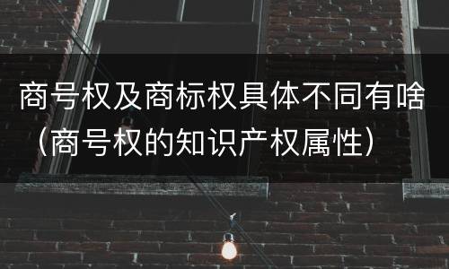 商号权及商标权具体不同有啥（商号权的知识产权属性）