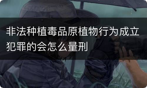 非法种植毒品原植物行为成立犯罪的会怎么量刑
