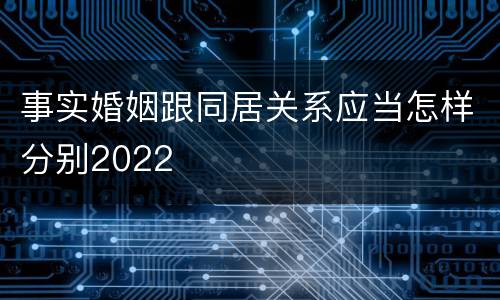 事实婚姻跟同居关系应当怎样分别2022