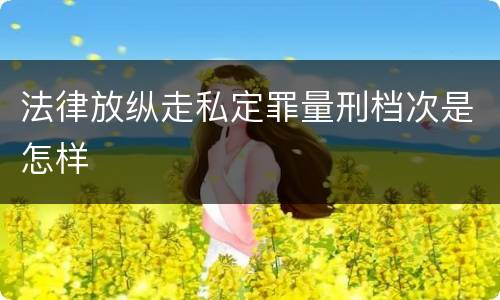 法律放纵走私定罪量刑档次是怎样
