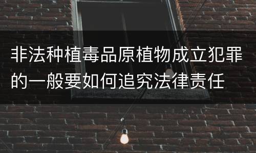 非法种植毒品原植物成立犯罪的一般要如何追究法律责任