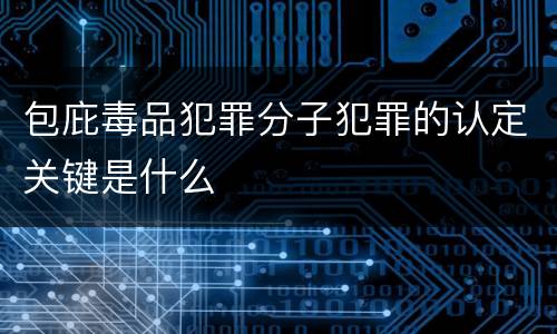 包庇毒品犯罪分子犯罪的认定关键是什么
