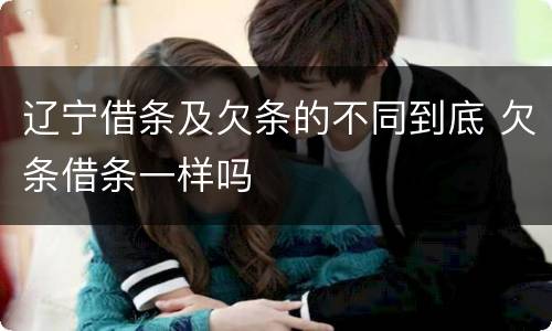 辽宁借条及欠条的不同到底 欠条借条一样吗