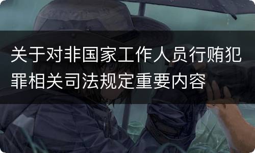 关于对非国家工作人员行贿犯罪相关司法规定重要内容