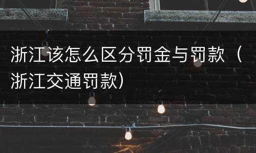 浙江该怎么区分罚金与罚款（浙江交通罚款）