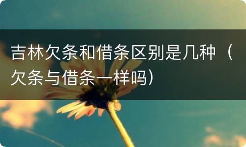 吉林欠条和借条区别是几种（欠条与借条一样吗）