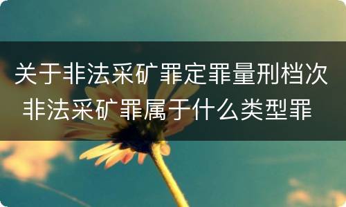 关于非法采矿罪定罪量刑档次 非法采矿罪属于什么类型罪