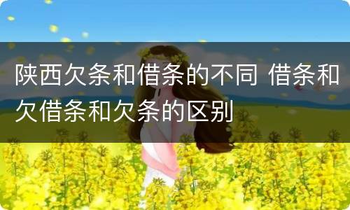 陕西欠条和借条的不同 借条和欠借条和欠条的区别