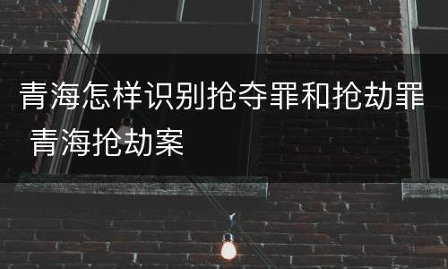 青海怎样识别抢夺罪和抢劫罪 青海抢劫案