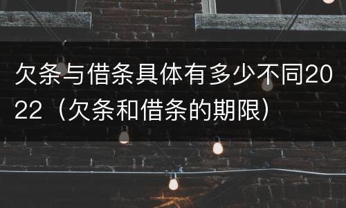 欠条与借条具体有多少不同2022（欠条和借条的期限）