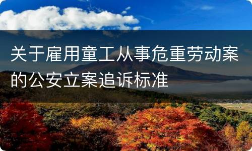关于雇用童工从事危重劳动案的公安立案追诉标准