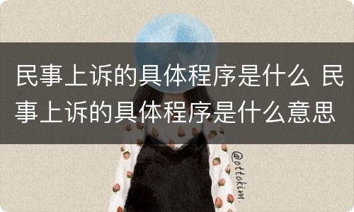 民事上诉的具体程序是什么 民事上诉的具体程序是什么意思