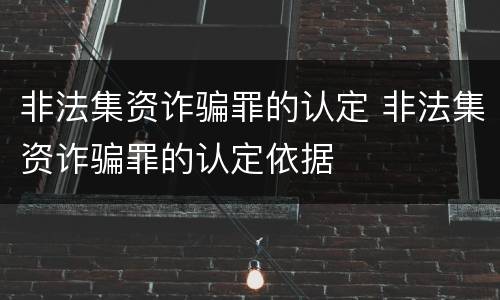 非法集资诈骗罪的认定 非法集资诈骗罪的认定依据