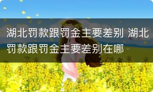 湖北罚款跟罚金主要差别 湖北罚款跟罚金主要差别在哪