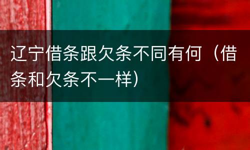 辽宁借条跟欠条不同有何（借条和欠条不一样）