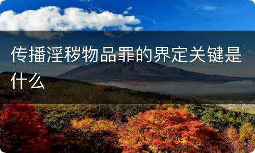 传播淫秽物品罪的界定关键是什么