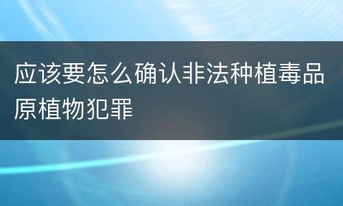 应该要怎么确认非法种植毒品原植物犯罪
