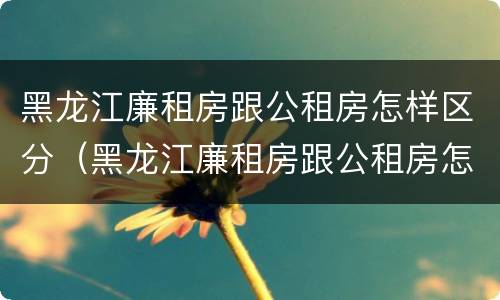黑龙江廉租房跟公租房怎样区分（黑龙江廉租房跟公租房怎样区分的）
