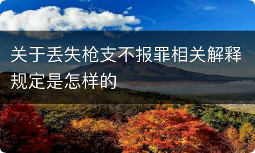 关于丢失枪支不报罪相关解释规定是怎样的