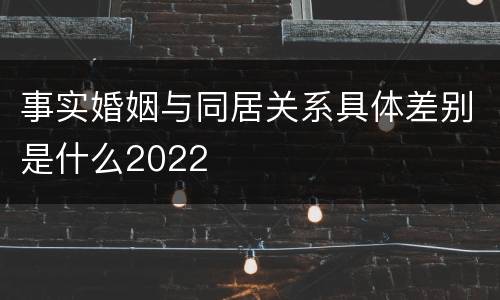 事实婚姻与同居关系具体差别是什么2022