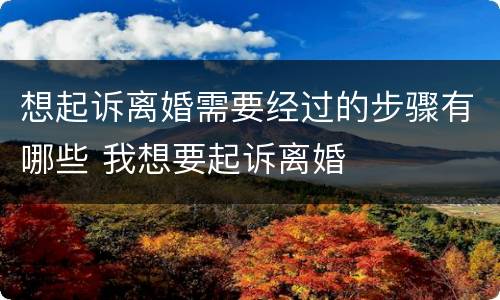 想起诉离婚需要经过的步骤有哪些 我想要起诉离婚