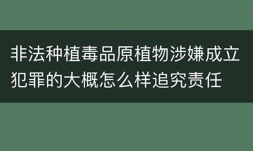 非法种植毒品原植物涉嫌成立犯罪的大概怎么样追究责任