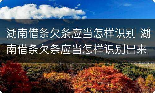 湖南借条欠条应当怎样识别 湖南借条欠条应当怎样识别出来