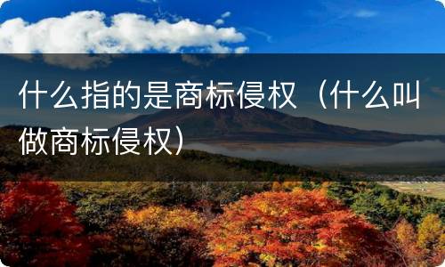 什么指的是商标侵权（什么叫做商标侵权）
