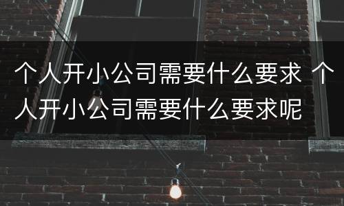 个人开小公司需要什么要求 个人开小公司需要什么要求呢