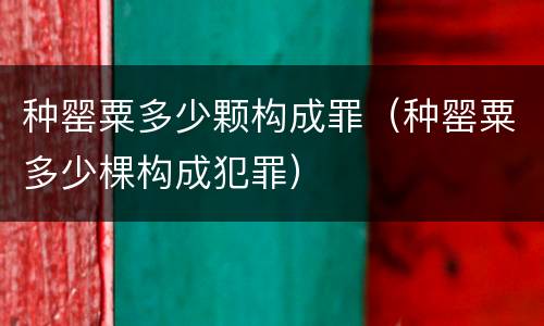 种罂粟多少颗构成罪（种罂粟多少棵构成犯罪）