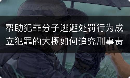 帮助犯罪分子逃避处罚行为成立犯罪的大概如何追究刑事责任