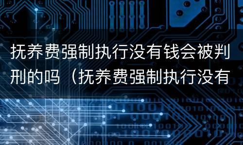抚养费强制执行没有钱会被判刑的吗（抚养费强制执行没有钱后果）