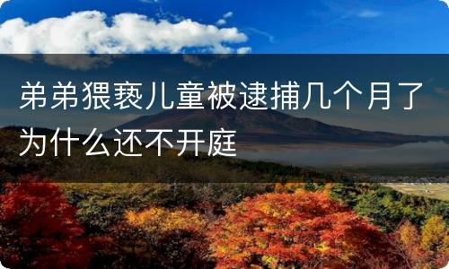 弟弟猥亵儿童被逮捕几个月了为什么还不开庭