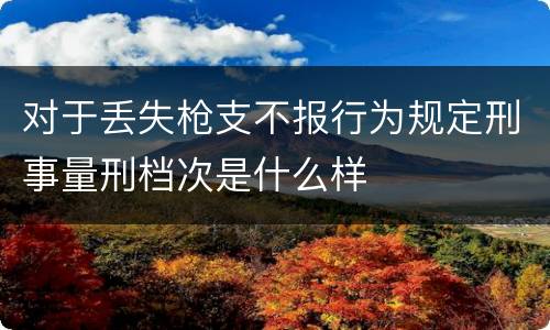对于丢失枪支不报行为规定刑事量刑档次是什么样