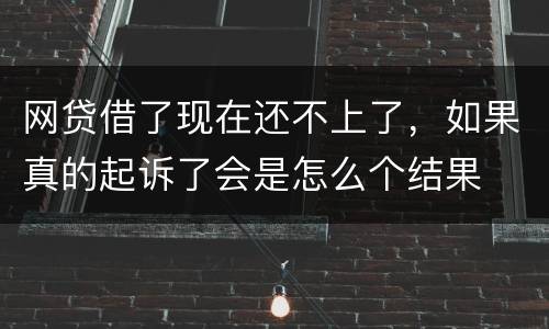 网贷借了现在还不上了，如果真的起诉了会是怎么个结果