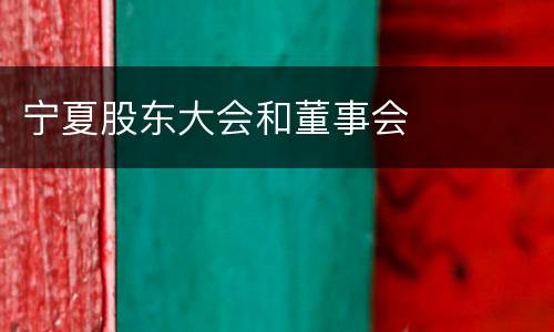 宁夏股东大会和董事会