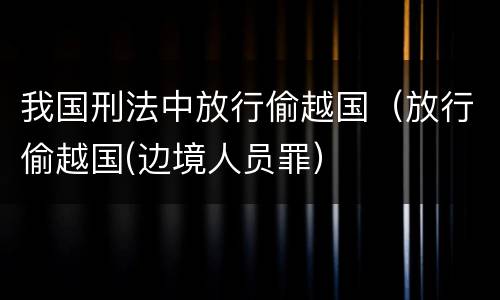 我国刑法中放行偷越国（放行偷越国(边境人员罪）