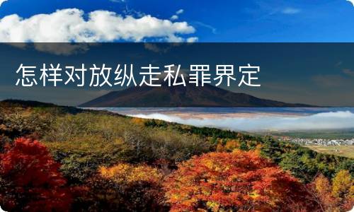 怎样对放纵走私罪界定