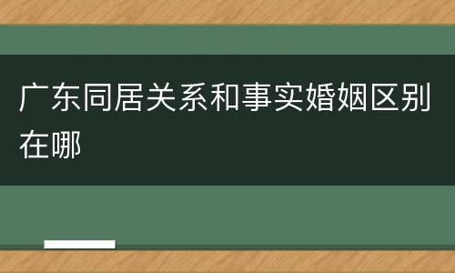 广东同居关系和事实婚姻区别在哪