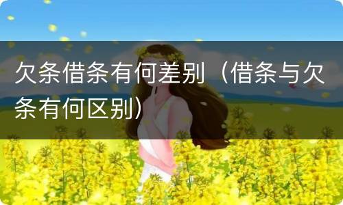 欠条借条有何差别（借条与欠条有何区别）