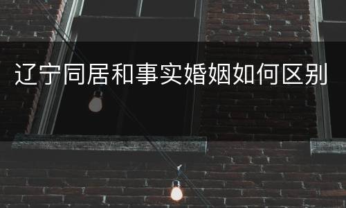 辽宁同居和事实婚姻如何区别