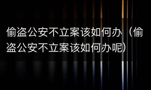 偷盗公安不立案该如何办（偷盗公安不立案该如何办呢）