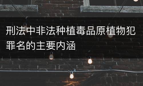 刑法中非法种植毒品原植物犯罪名的主要内涵