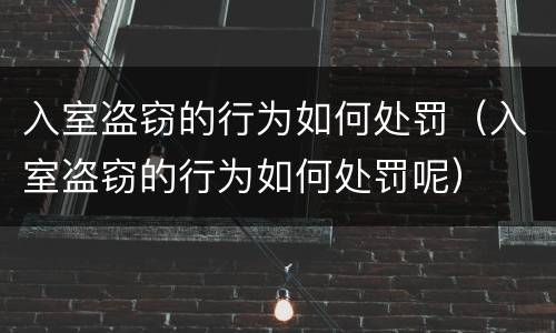 入室盗窃的行为如何处罚（入室盗窃的行为如何处罚呢）