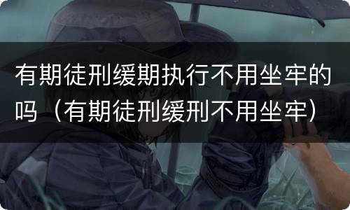 有期徒刑缓期执行不用坐牢的吗（有期徒刑缓刑不用坐牢）