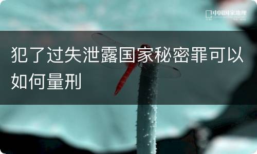 犯了过失泄露国家秘密罪可以如何量刑