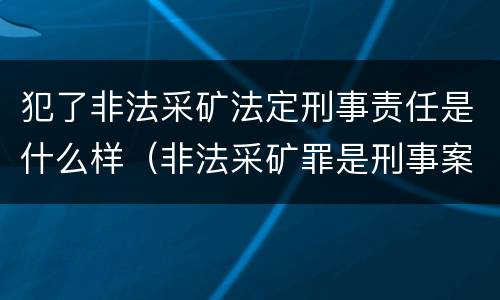 犯了非法采矿法定刑事责任是什么样（非法采矿罪是刑事案件吗）