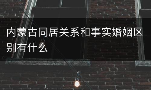 内蒙古同居关系和事实婚姻区别有什么